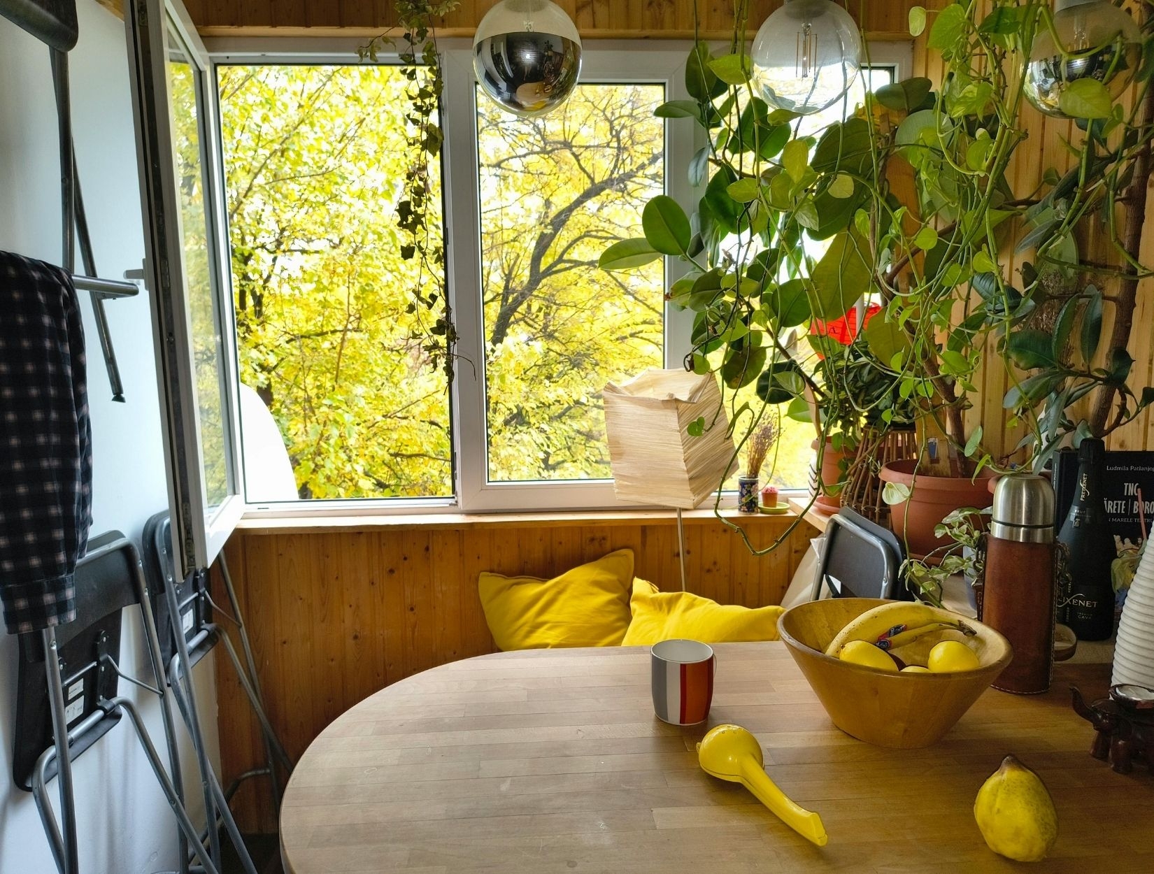 Schedule Professional Cleaning Services in Chicago Today